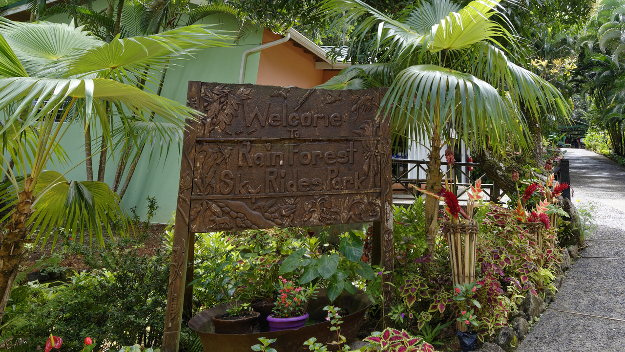 20190201-112956•Rain Forst Aerial Tram•Castries•Castries•St Lucia